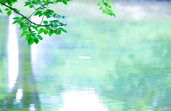 焼肉を食べるなら宮崎にある縁克起がおすすめです